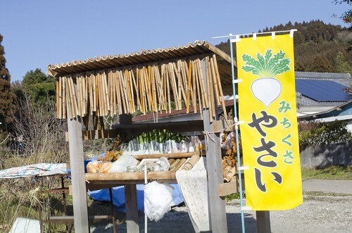 野菜の直売所