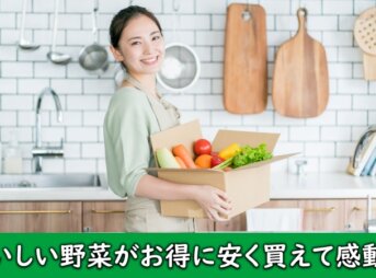 安くてお得なおいしい野菜