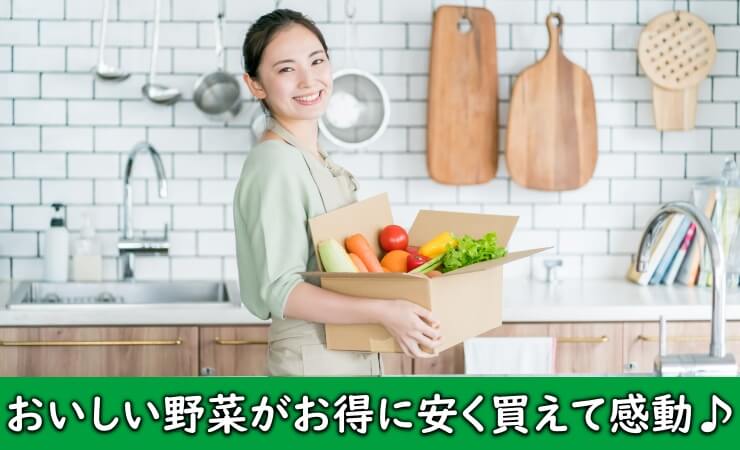 安くてお得なおいしい野菜